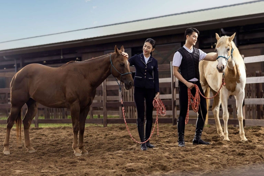 Vinhomes Royal Island